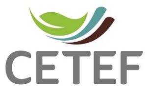 logo cetef