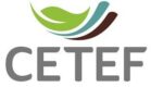 logo cetef